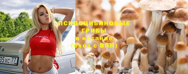 PSILOCYBIN Беломорск